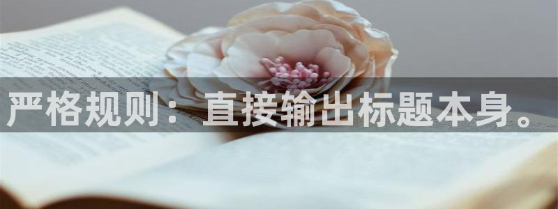 壹号大舞台官网：严格规则：直接输出标题本身。