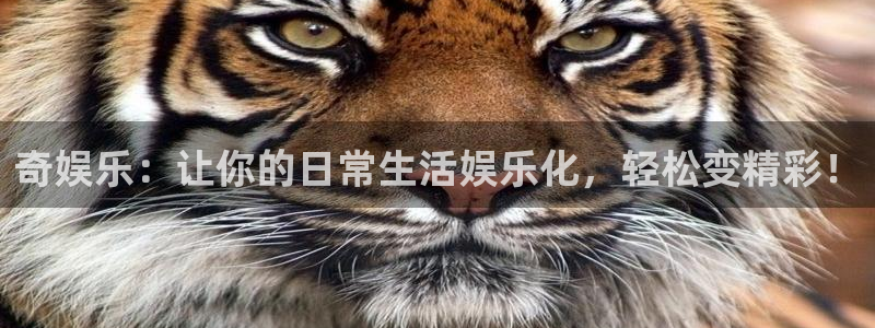 长征平台账号注册入口：奇娱乐：让你的日常生活娱乐化，轻松变精彩！