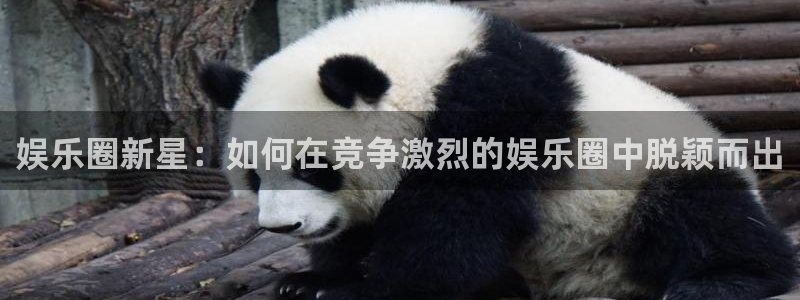 长征平台官网下载：娱乐圈新星：如何在竞争激烈的娱乐圈中脱颖而出