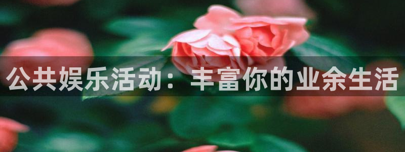 长征平台官网：公共娱乐活动：丰富你的业余生活
