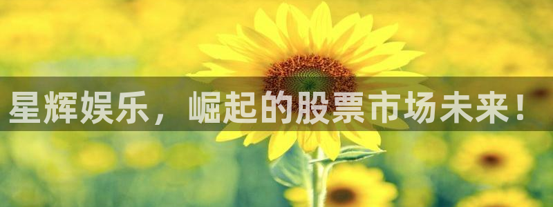 壹号app下载苹果：星辉娱乐，崛起的股票市场未来！