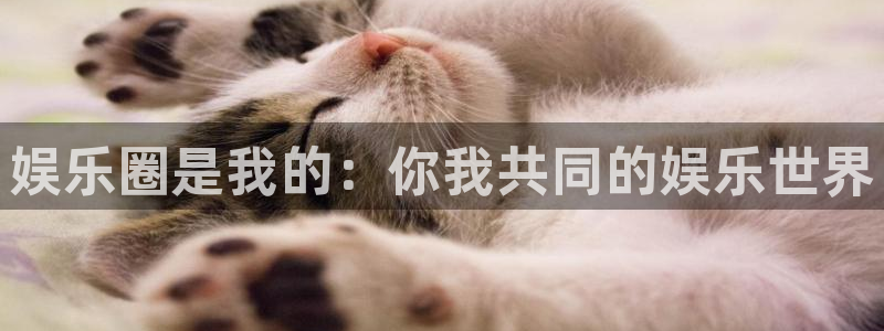 长征平台(com.youad.authst)：娱乐圈是我的：你我共同的娱乐世界