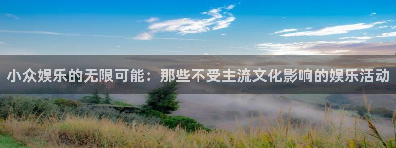 壹号大舞台官网：小众娱乐的无限可能：那些不受主流文化影响的娱乐活动