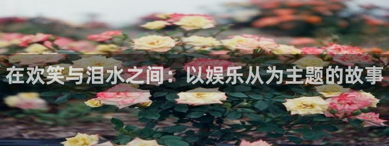壹号app下载：在欢笑与泪水之间：以娱乐从为主题的故事