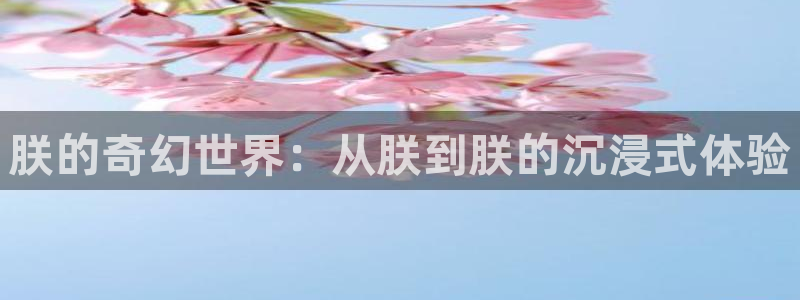 长征平台.ccmpc登录：朕的奇幻世界：从朕到朕的沉浸式体验