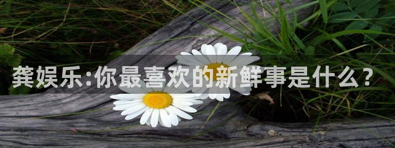 长征平台苹果手机下载链接：龚娱乐:你最喜欢的新鲜事是什么？