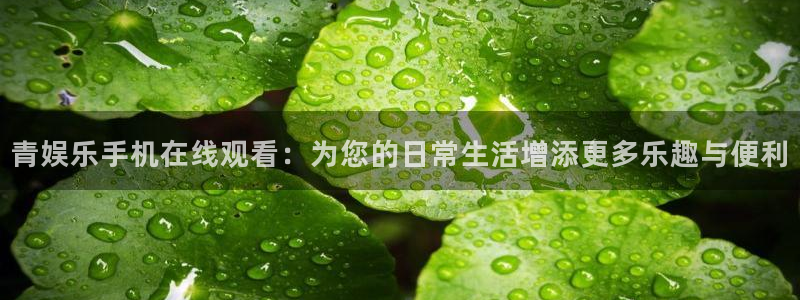 长征平台分红代理计划：青娱乐手机在线观看：为您的日常生活增添更多乐趣与便利