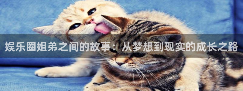 长征平台下载入口：娱乐圈姐弟之间的故事：从梦想到现实的成长之路
